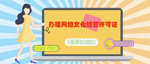 網(wǎng)絡(luò)文化經(jīng)營(yíng)許可業(yè)務(wù)類型及申請(qǐng)準(zhǔn)備條件詳解